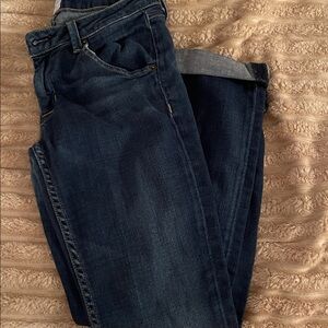 Hudson Jeans in Deep Indigo